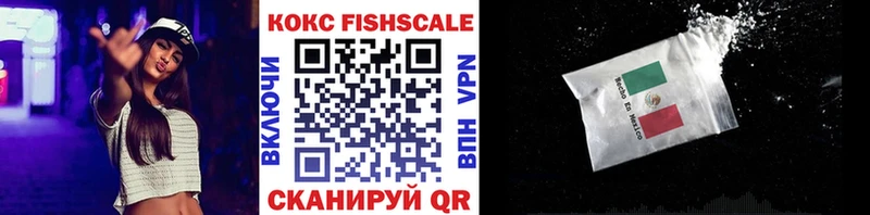 Кокаин FishScale  Купить закладки  Данилов 