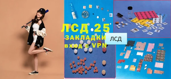 ПСИЛОЦИБИНОВЫЕ ГРИБЫ Баксан