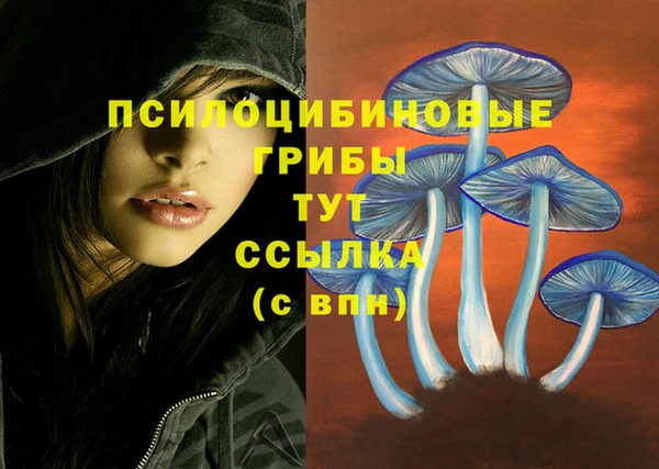 ешки Балабаново