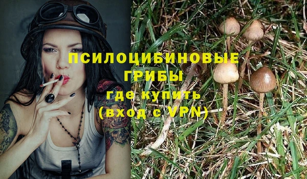 ПСИЛОЦИБИНОВЫЕ ГРИБЫ Баксан