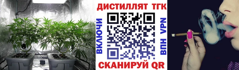 ТГК жижа Купить где Данилов