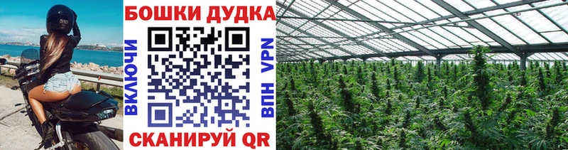 Конопля марихуана  Купить  Данилов 